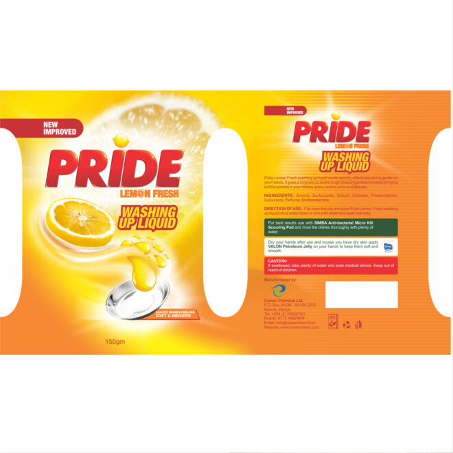 Pride-11